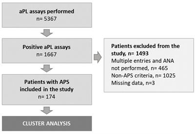 Four clinical and biological phenotypes in antiphospholipid syndrome: a cluster analysis of 174 patients with antinuclear antibody tests